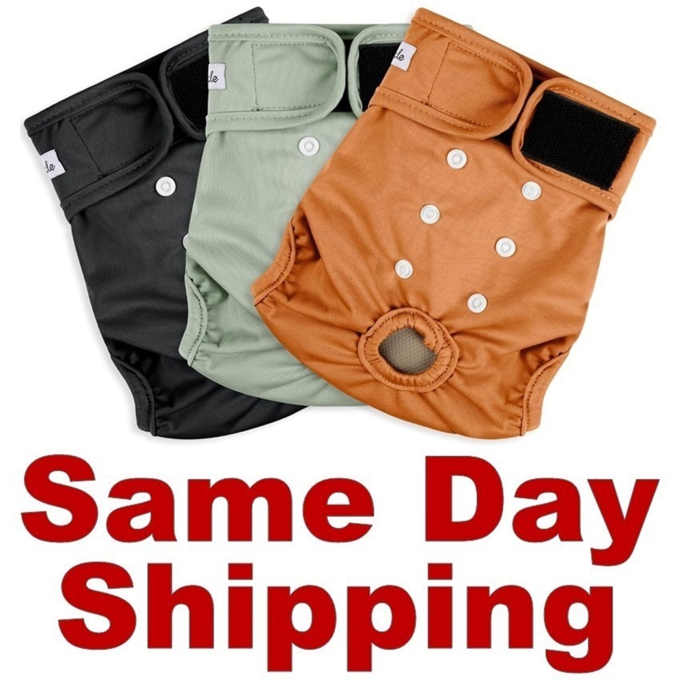 *NEW* Grecle Reusable 3 pack Female Dog Diapers Highly Absorbent XL 17.5"-27"